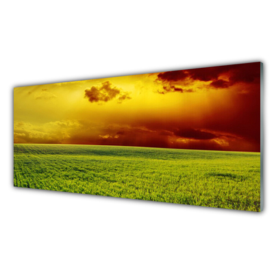 Glasbild aus Plexiglas® Acker Landschaft