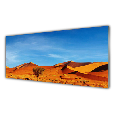 Glasbild aus Plexiglas® Wüste Landschaft