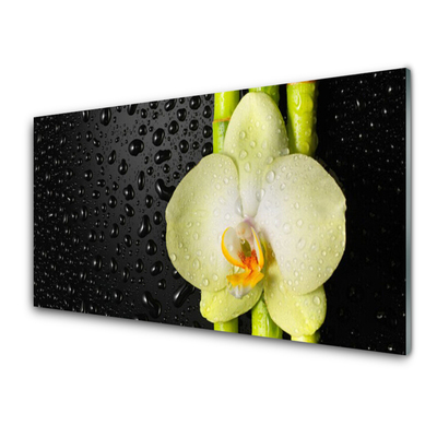 Glasbild aus Plexiglas® Bambusrohre Blume Pflanzen