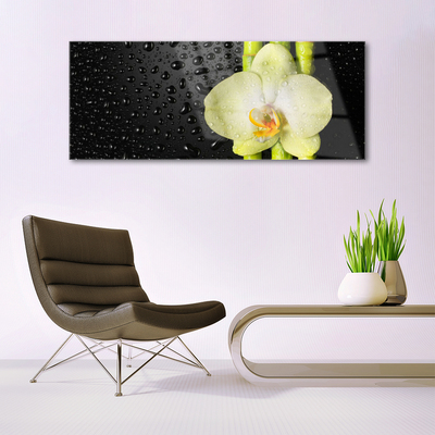 Glasbild aus Plexiglas® Bambusrohre Blume Pflanzen