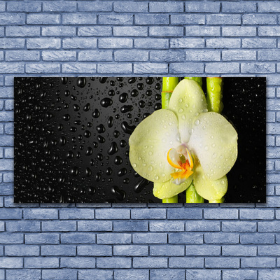 Glasbild aus Plexiglas® Bambusrohre Blume Pflanzen