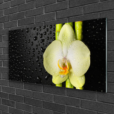 Glasbild aus Plexiglas® Bambusrohre Blume Pflanzen