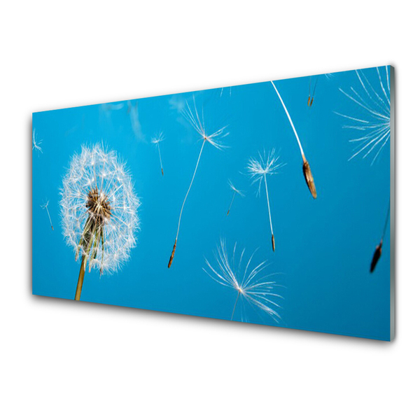 Glasbild aus Plexiglas® Pusteblume Pflanzen