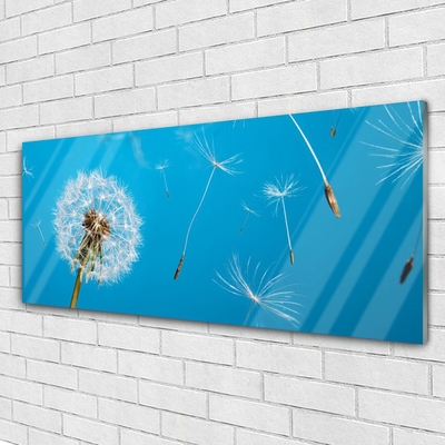 Glasbild aus Plexiglas® Pusteblume Pflanzen