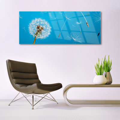 Glasbild aus Plexiglas® Pusteblume Pflanzen