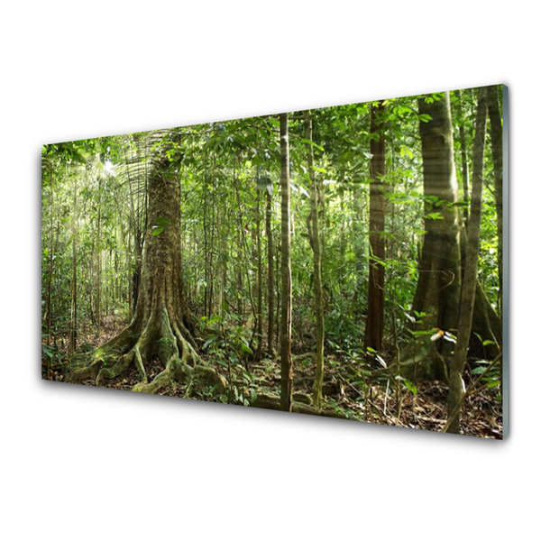 Glasbild aus Plexiglas® Wald Natur