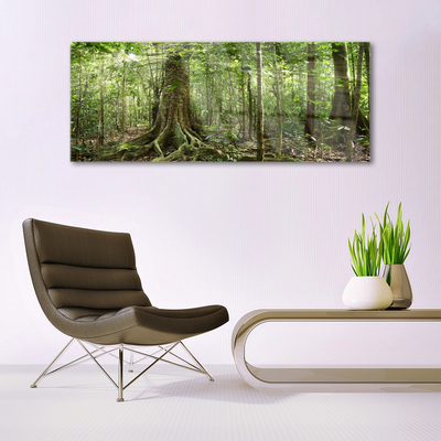 Glasbild aus Plexiglas® Wald Natur