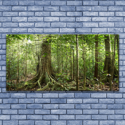 Glasbild aus Plexiglas® Wald Natur