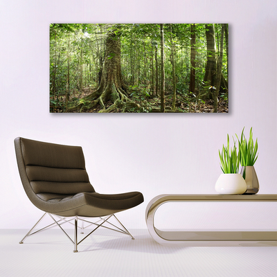 Glasbild aus Plexiglas® Wald Natur