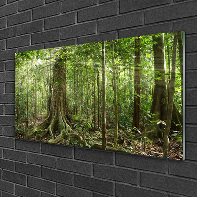 Glasbild aus Plexiglas® Wald Natur