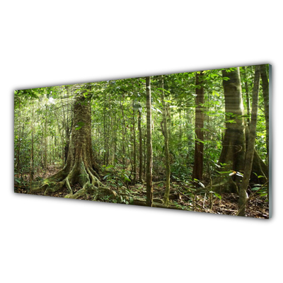 Glasbild aus Plexiglas® Wald Natur