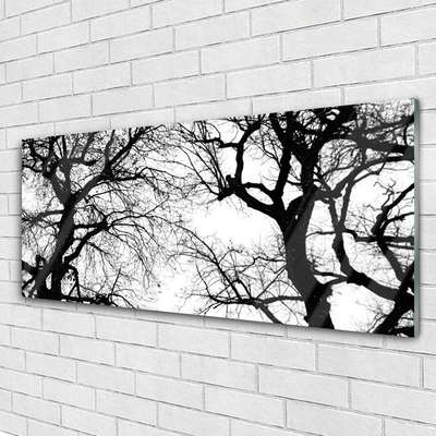 Glasbild aus Plexiglas® Bäume Natur