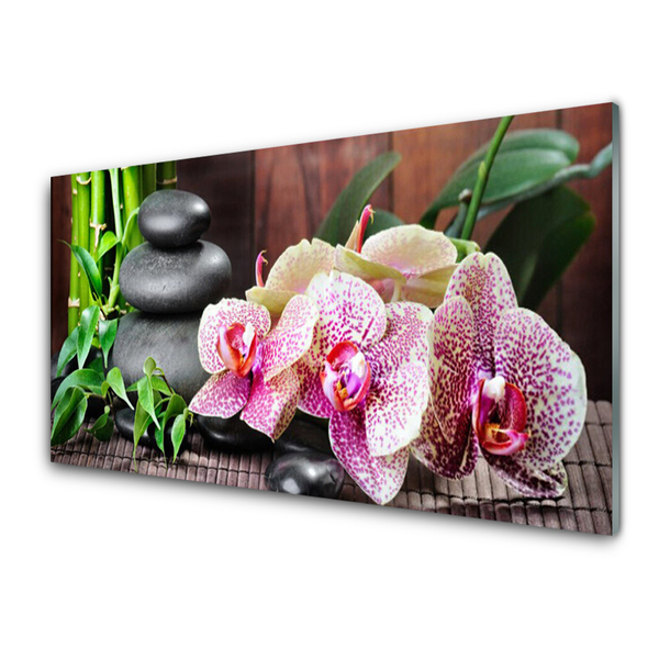 Glasbild aus Plexiglas® Bambusrohre Steine Blumen Pflanzen