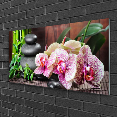 Glasbild aus Plexiglas® Bambusrohre Steine Blumen Pflanzen