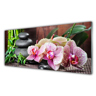 Glasbild aus Plexiglas® Bambusrohre Steine Blumen Pflanzen