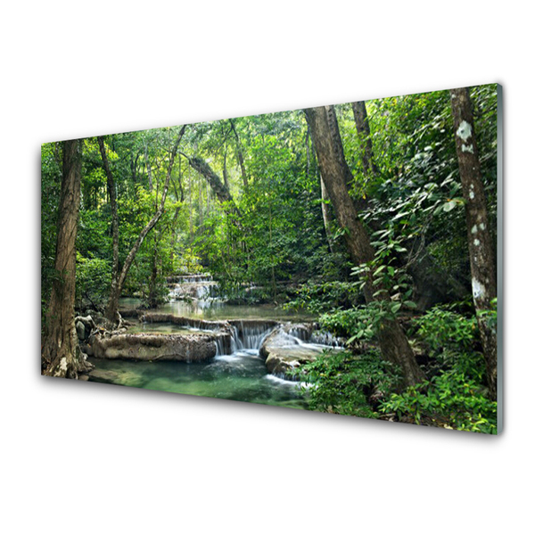 Glasbild aus Plexiglas® Wald Natur