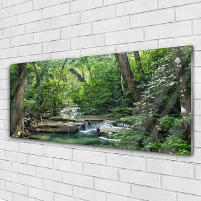 Glasbild aus Plexiglas® Wald Natur