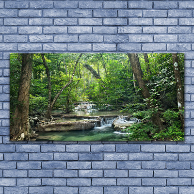 Glasbild aus Plexiglas® Wald Natur