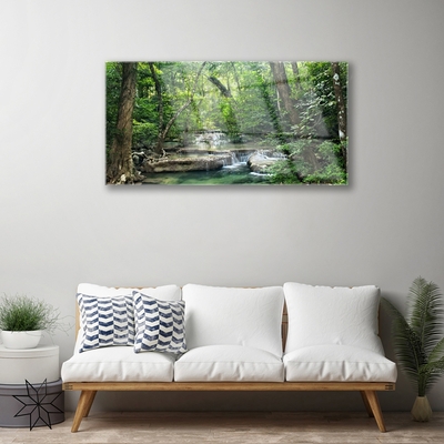 Glasbild aus Plexiglas® Wald Natur