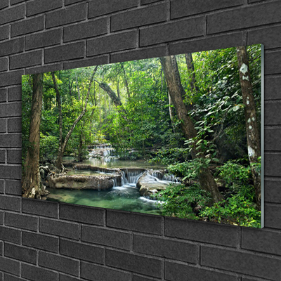 Glasbild aus Plexiglas® Wald Natur