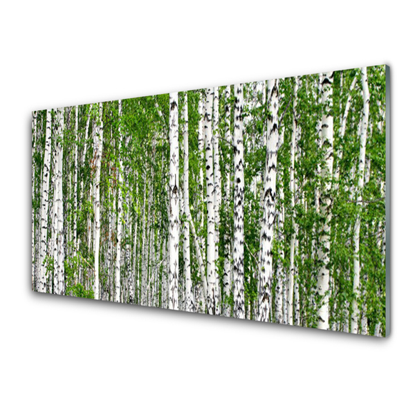 Küchenrückwand Spritzschutz Birken Wald Bäume Natur