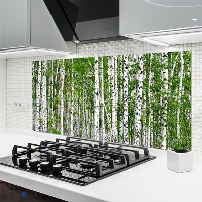 Küchenrückwand Spritzschutz Birken Wald Bäume Natur