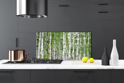 Küchenrückwand Spritzschutz Birken Wald Bäume Natur