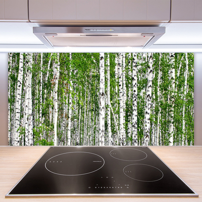Küchenrückwand Spritzschutz Birken Wald Bäume Natur