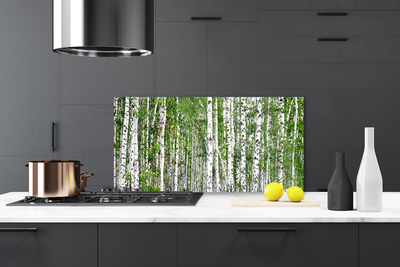Küchenrückwand Spritzschutz Birken Wald Bäume Natur