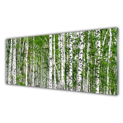 Küchenrückwand Spritzschutz Birken Wald Bäume Natur
