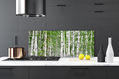 Küchenrückwand Spritzschutz Birken Wald Bäume Natur