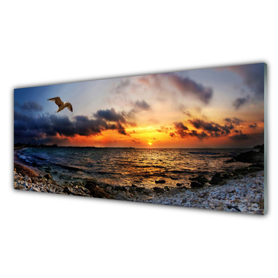 Küchenrückwand Spritzschutz Möwe Meer Strand Landschaft