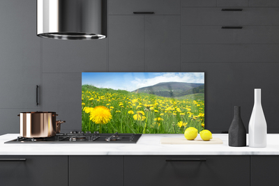 Küchenrückwand Spritzschutz Löwenzahn Feld Natur