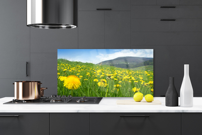 Küchenrückwand Spritzschutz Löwenzahn Feld Natur