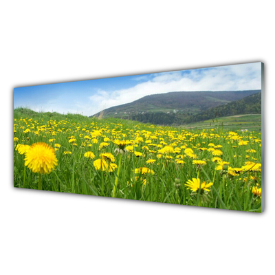 Küchenrückwand Spritzschutz Löwenzahn Feld Natur