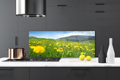 Küchenrückwand Spritzschutz Löwenzahn Feld Natur