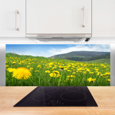 Küchenrückwand Spritzschutz Löwenzahn Feld Natur