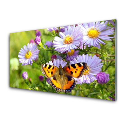 Küchenrückwand Spritzschutz Blumen Schmetterling Natur