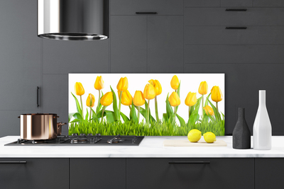 Küchenrückwand Spritzschutz Tulpen Pflanzen