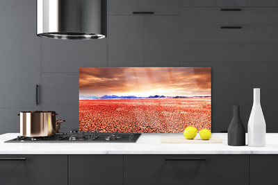 Küchenrückwand Spritzschutz Wüste Landschaft