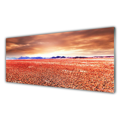 Küchenrückwand Spritzschutz Wüste Landschaft