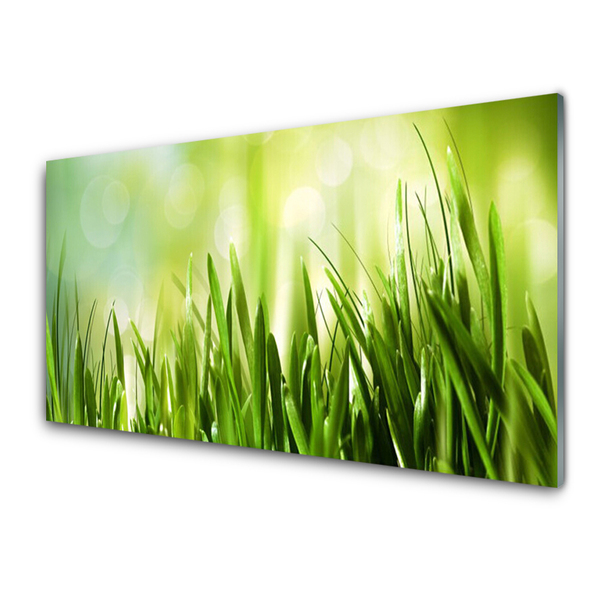 Küchenrückwand Spritzschutz Gras Natur