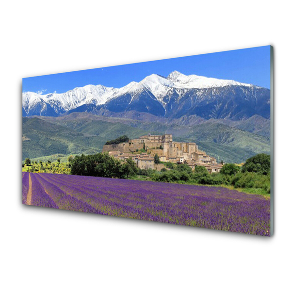 Küchenrückwand Spritzschutz Wiese Blumen Gebirge Landschaft