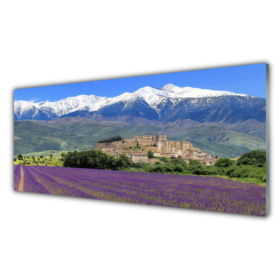 Küchenrückwand Spritzschutz Wiese Blumen Gebirge Landschaft