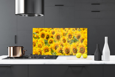 Küchenrückwand Spritzschutz Sonnenblumen Pflanzen