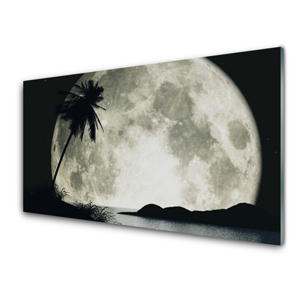 Küchenrückwand Spritzschutz Nacht Mond Palme Landschaft