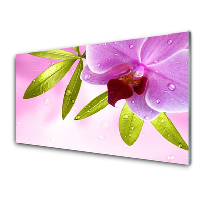 Küchenrückwand Spritzschutz Blume Blätter Pflanzen