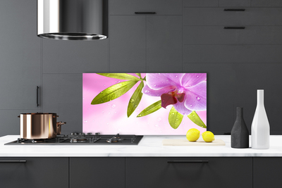 Küchenrückwand Spritzschutz Blume Blätter Pflanzen