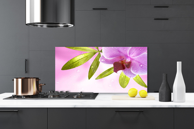 Küchenrückwand Spritzschutz Blume Blätter Pflanzen