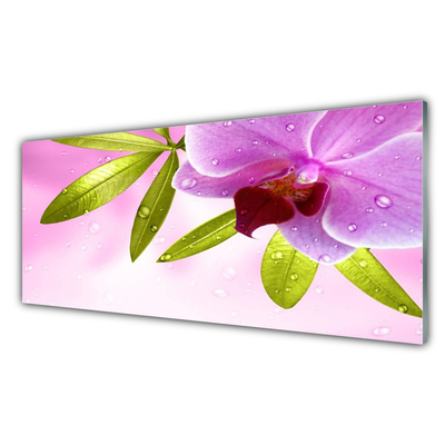 Küchenrückwand Spritzschutz Blume Blätter Pflanzen